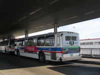 Bus #4919 (ex-Pace #2099) at 95th and Dan Ryan on October 30, 2005.
