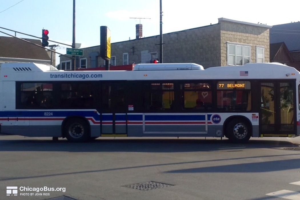 Bus #8224 at Belmont and Kimball, working route #77 Belmont, on June 23, 2016.